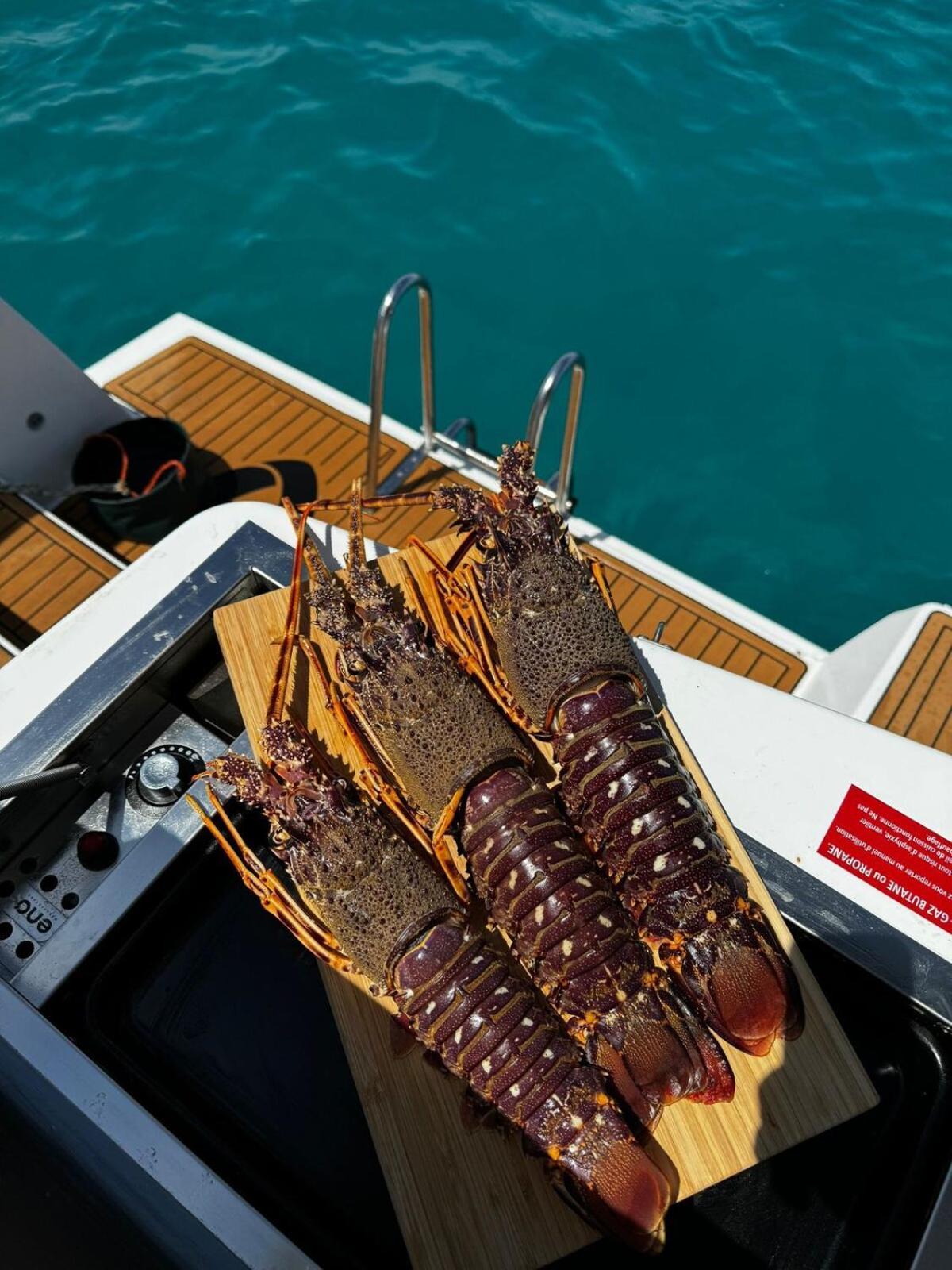 Bateau-hôtel Fox Bali Palma